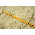 Caval cu inel de alama + husa GRATIS Caval cu inel de alama + husa GRATIS